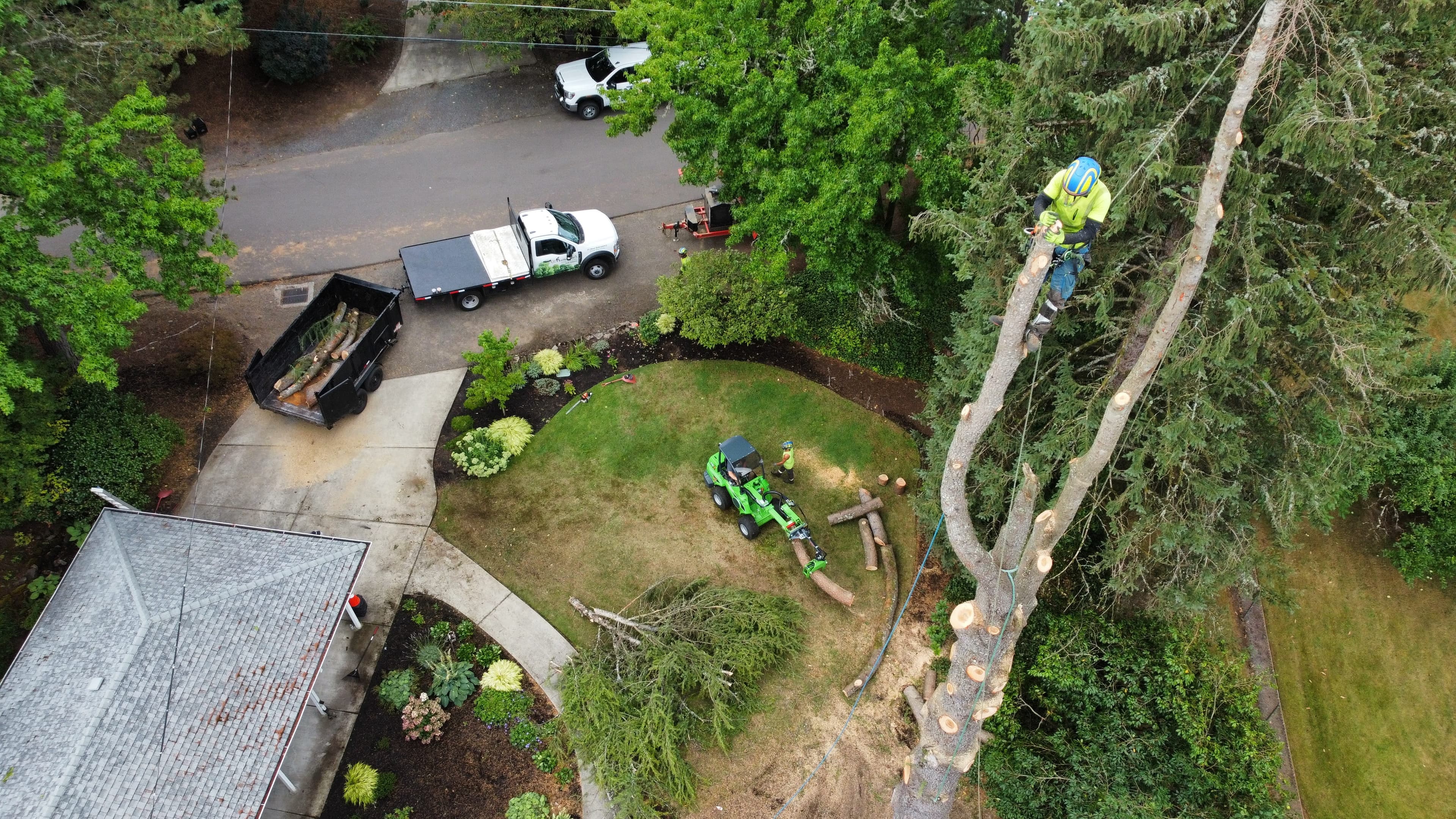 Aerial view of a Monkeyman's Tree Service job site