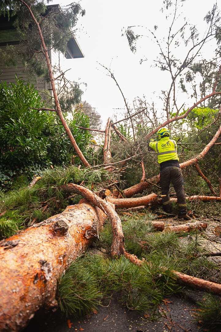 Storm cleanup — during