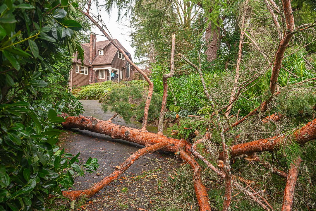 Storm damage — before