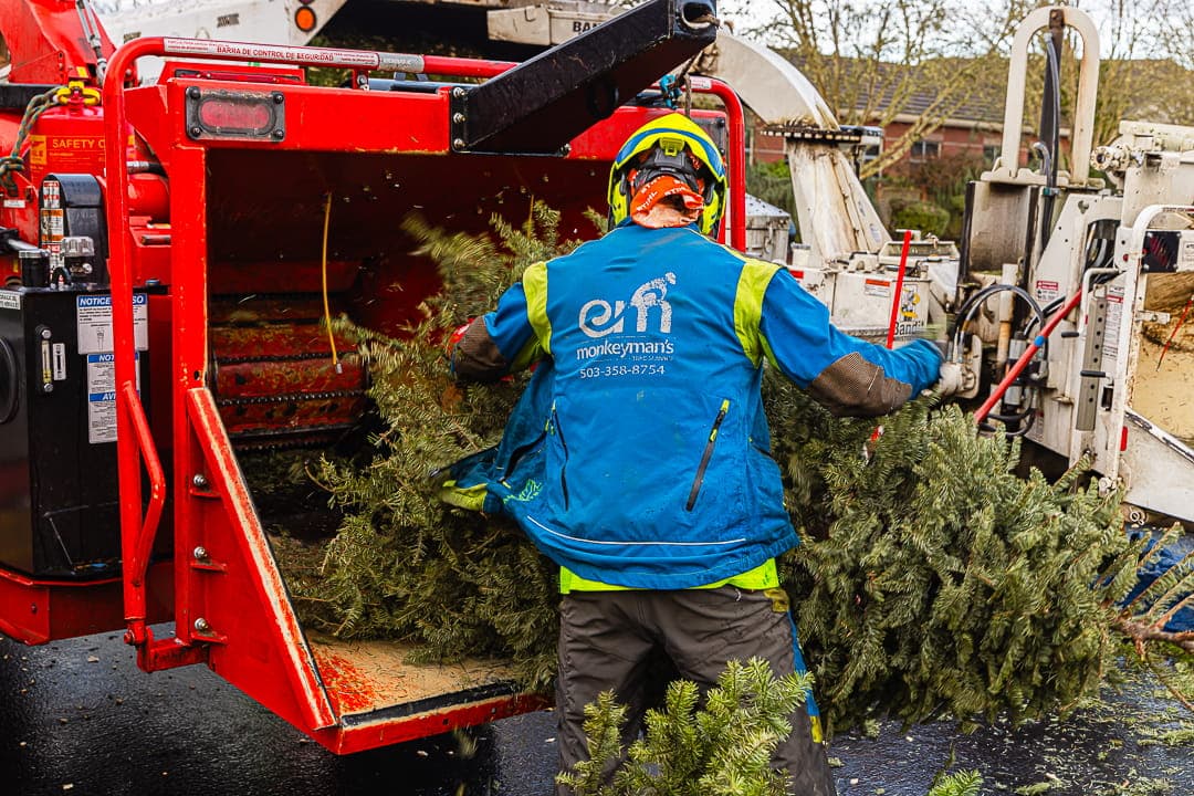 Crew member feeding the chipper